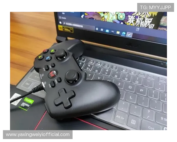 亚星游戏网登录入口官方入口2024年最新版本，确保账号安全畅享游戏乐趣