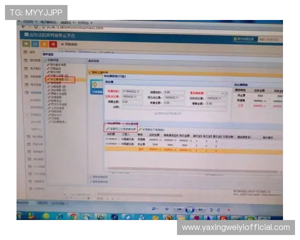 亚星管理平台 cmd3：用户操作流程详解与常见问题解答