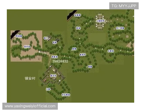 亚星yaxin222直接登录流程全攻略新手玩家也能轻松掌握快速进入游戏