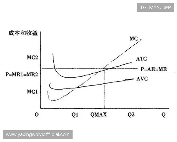 利用亚星代理平台入口实现利润最大化的实用技巧和策略分享